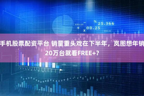 手机股票配资平台 销量重头戏在下半年，岚图想年销20万台就看FREE+？